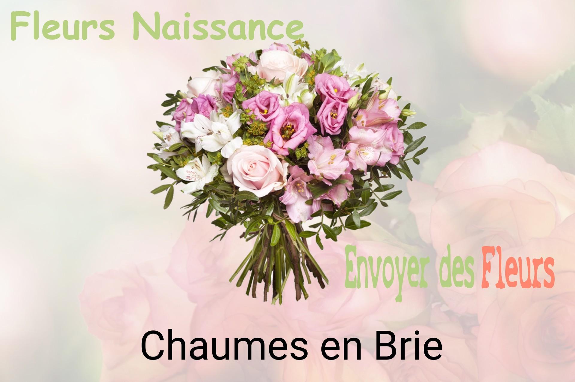 Bouquet de fleurs de naissance livré à Chaumes-en-Brie