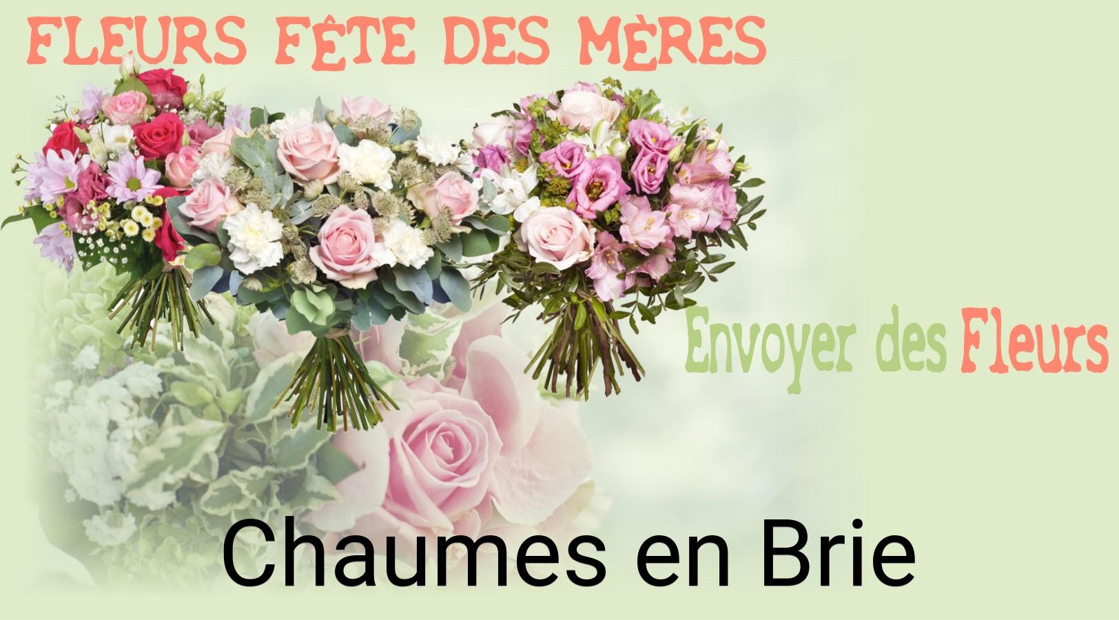Bouquet de Fête des Mères livré à Chaumes-en-Brie