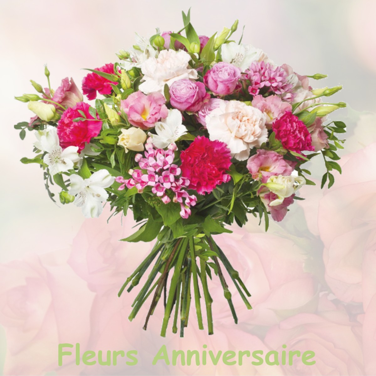 fleurs anniversaire CHAUMES-EN-BRIE